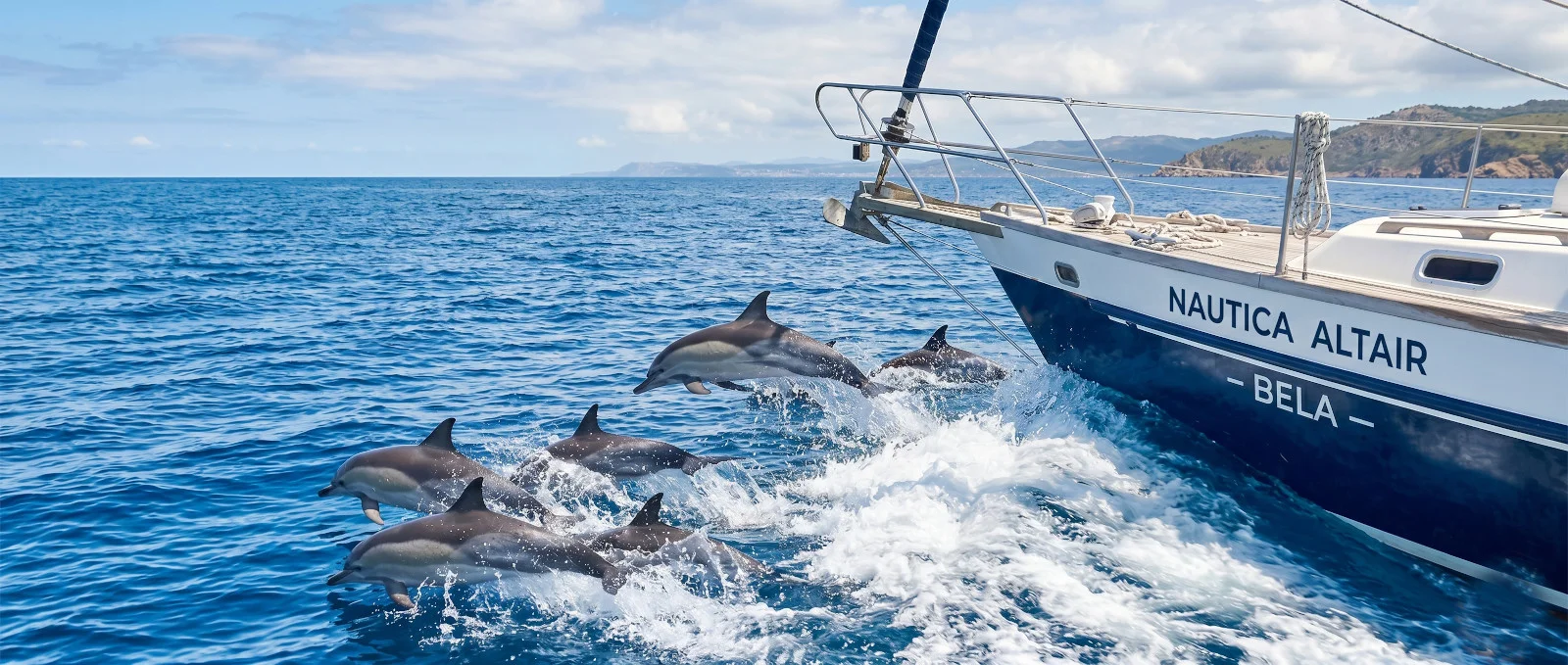Avistamiento de cetáceos en velero Barcelona