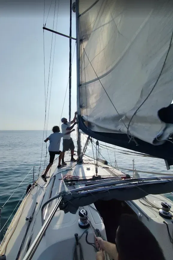 Navegación y Seguridad