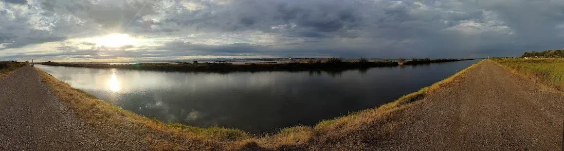Avistament de Cetacis al Garraf