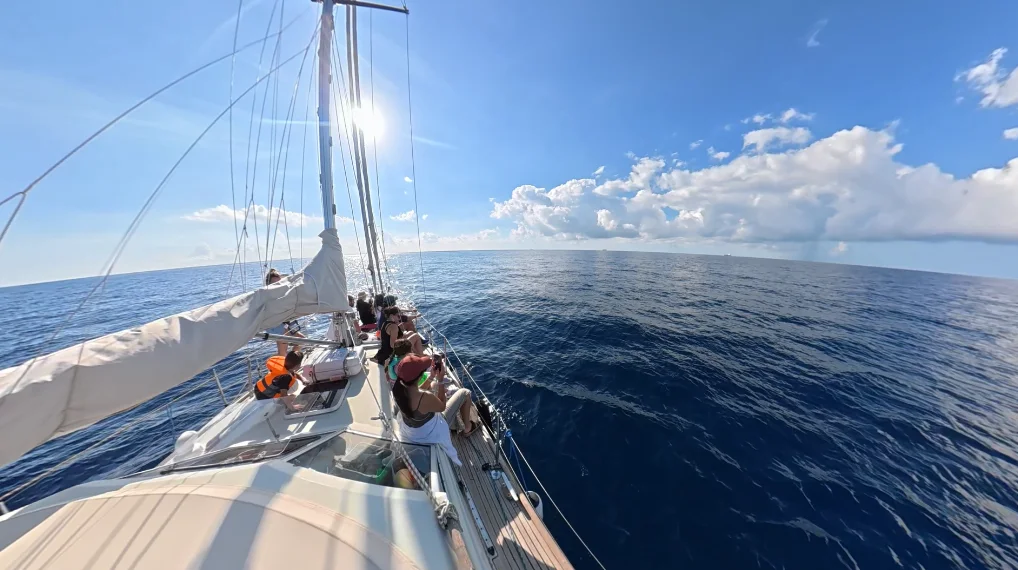 Pasajeros en la cubierta del velero BELA buscando cetáceos en mar abierto frente al Garraf