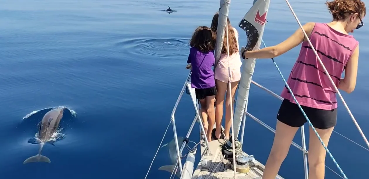 Fauna Marina als Canyons de Port Garraf: Guia de les 16 Espècies