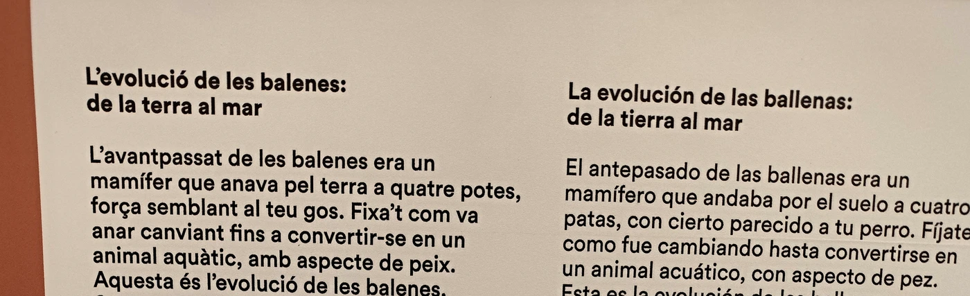 Texto original del panel del museo sobre la evolución de las ballenas, en catalán y castellano